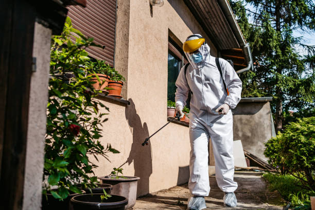 Best Flea Control Services  in Dix Hills, NY