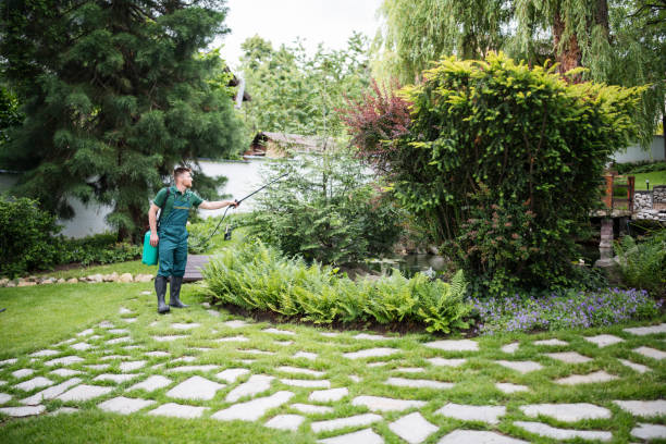 Best Wasp Removal Services  in Dix Hills, NY