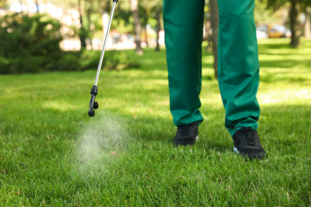Best Mosquito Control Services  in Dix Hills, NY